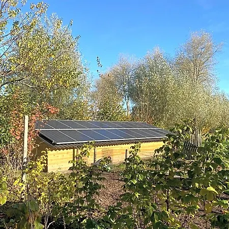 Benbzuiderzee Bed & Breakfast