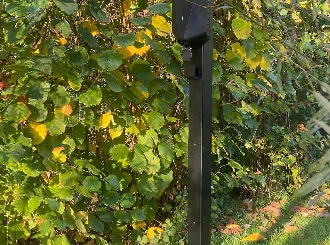 Bed & Breakfast Benbzuiderzee Hattem